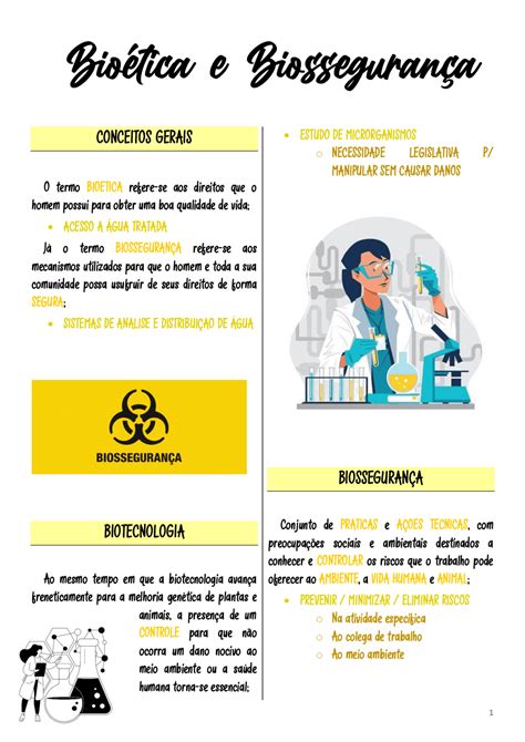 Bio Tica E Biosseguran A Esquemas Biosseguran A Docsity