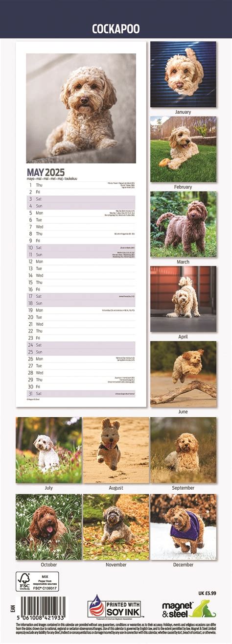 Cockapoo Kalender Slimline Kopen Bestel Eenvoudig Online