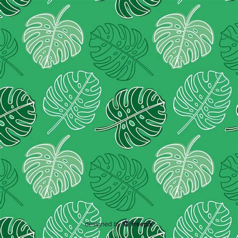 Patrón hojas de monstera dibujadas a mano Vector Gratis