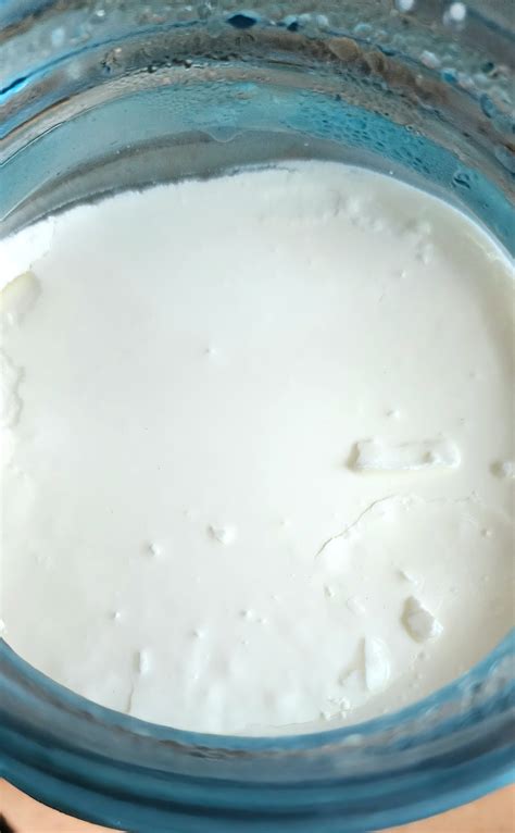 L Gasseri L Reuteri Or Bc Bacillus Coagulans Yogurt Making The