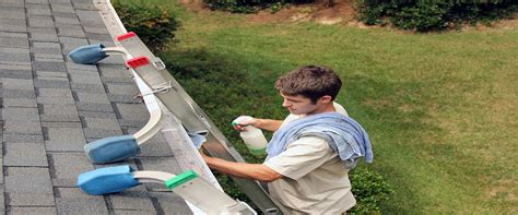 Diy Gutter Cleaning Versus Hiring A Professional Pros And Cons Trendwait