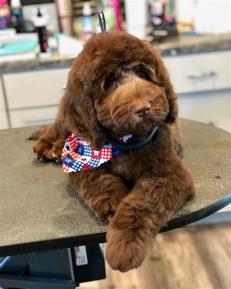 Service Offerings at AL Jacobsen Funeral Home 12