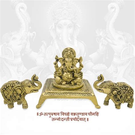 Gajaraj (Elephant) set with Lord Ganesha in Brass