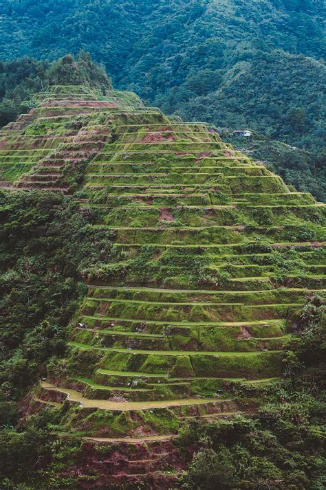 Hd Wallpaper Travel Awesome Nature Rice Terrace Banaue