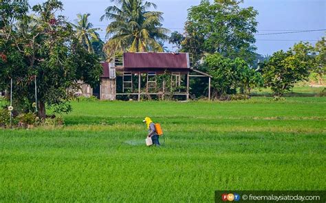 Amalan Pertanian Betul Mampu Tingkat Pengeluaran Padi Kata Mat Sabu