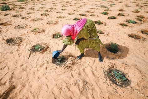 ONU Alerta Que Conflicto Y Desplazamiento En El Sahel Puede Empeorar