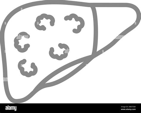 Liver With Tumors Line Icon Liver Cancer Digestive Organ Disease