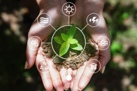 Imagens De Recursos Naturais Renovaveis - 9