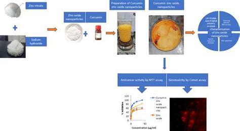 姜黄素氧化锌纳米颗粒的综合分析合成表征和细胞遗传毒性分析 ACS Omega X MOL