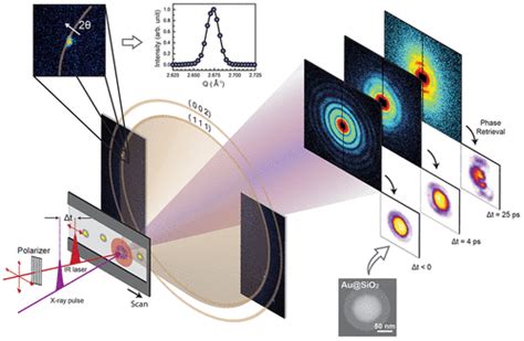 Ultrafast Energy Transfer Process In Confined Gold Nanospheres Revealed