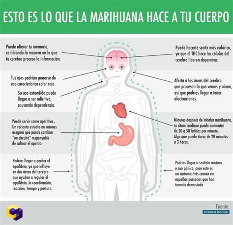 4 20 El Efecto De La Marihuana En Tu Cuerpo