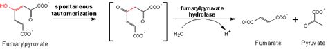 Eawag Bbd Reaction Reacid R0811