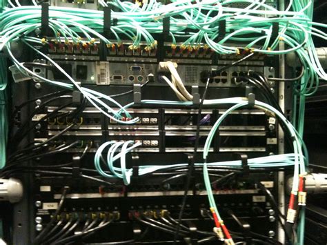 open source  open access ensembl blog