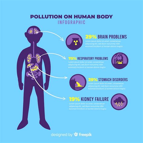 Free Vector Pollution On Human Body Infographic