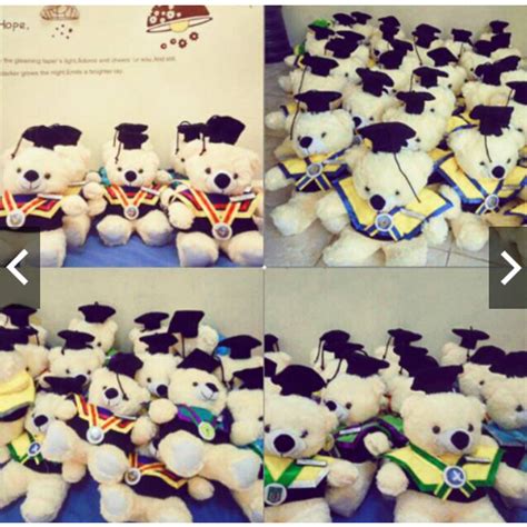 Jual Boneka Wisuda Teddy Bear Medium Kado Hadiah Graduation Kampus