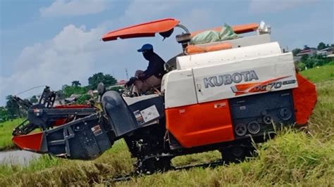 Mobil Potong Padi Combi Doser Padi Mesin Panen Padi 203 YouTube