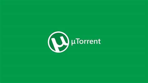 Understanding The Difference Between UTorrent And BitTorrent