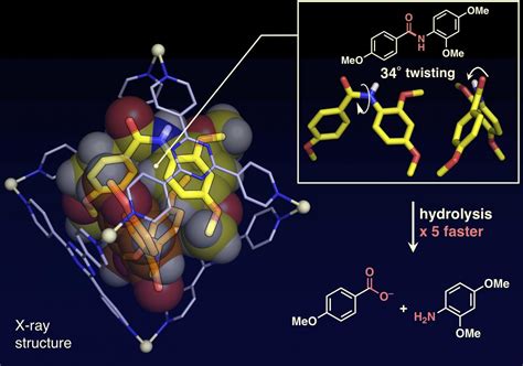 Twisted Amides Image Eurekalert Science News Releases