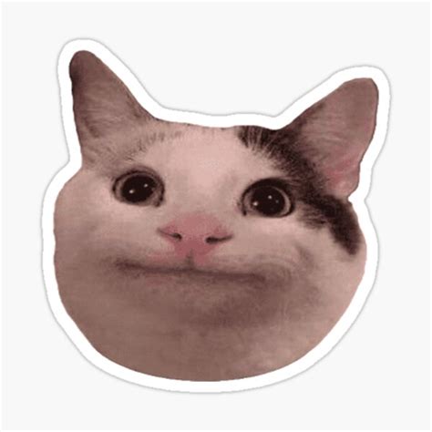 Funny Cat Beluga Meme Sticker For Sale By Sixzi Redbubble