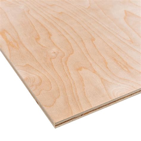 Handprint 1 4 In X 2 Ft X 4 Ft Sande Plywood Project Panel 103064