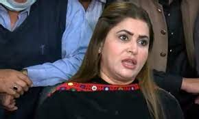 Ecp Postponed Sindh Lg Polls Shazia Marri Newswire