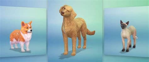 Trailer Los Sims 4 Perros Y Gatos Simsguru