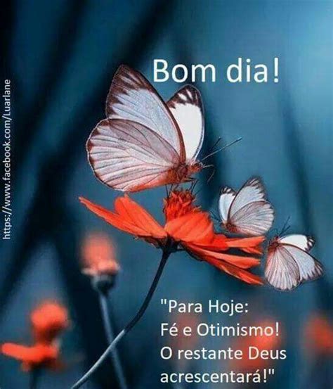 Two Butterflies Sitting On Top Of A Flower With The Caption Bom Dia