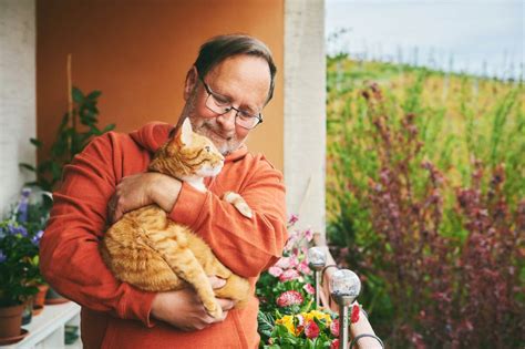 Waarom Houdt Mijn Kat Meer Van Mijn Man Dan Van Mij De Buitenkat