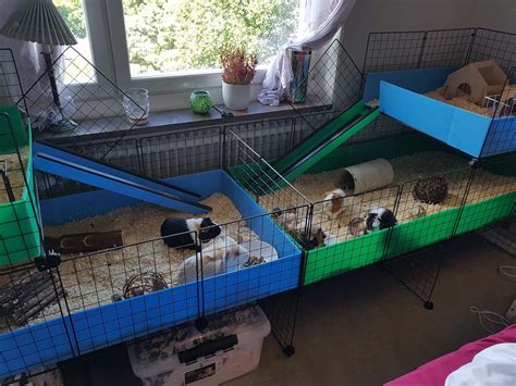 Gallery C C Guinea Pig Cages Mesh And Grid Cages For Pets