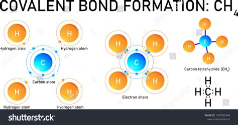 Methane Molecule Model