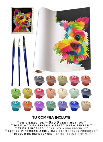 Pinta Por Numeros Kit Para Pintar Cuadros Pintura Promocion Mercadolibre