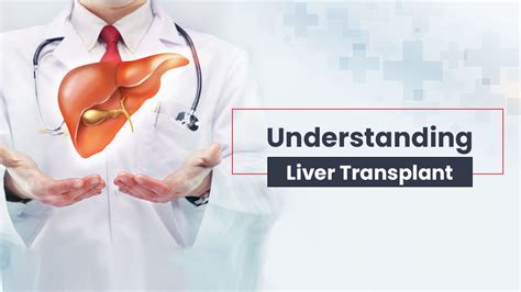 All You Need To Know About Liver Transplantation