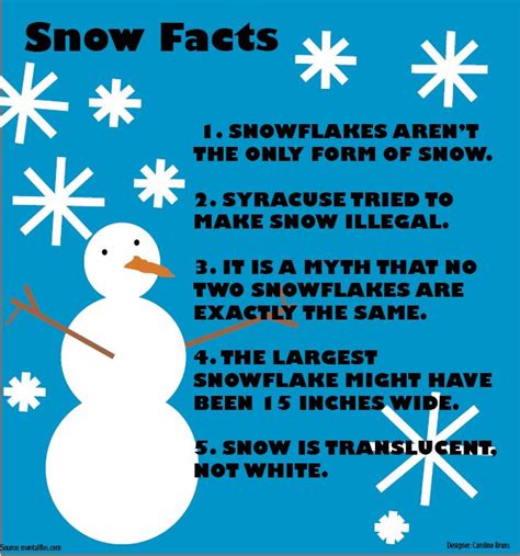 Snow facts – The Leaf