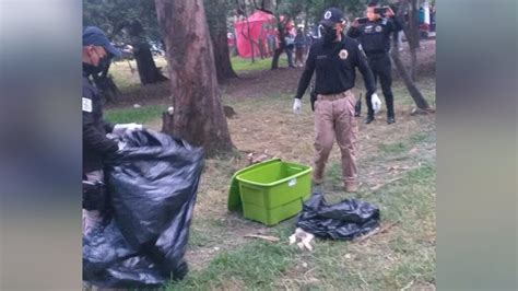 Chilango En Bosque De Nativitas Asesinan A 19 Perros Denuncian Vecinos