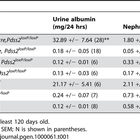 Phenotypes Of Mice With Conditional Knockout And Control Genotypes