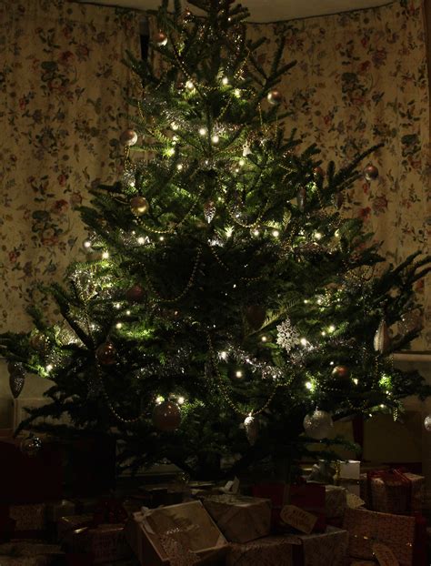 Bildet Tre Gren Anlegg Blomst Belysning Juletre Jul Dekorasjon