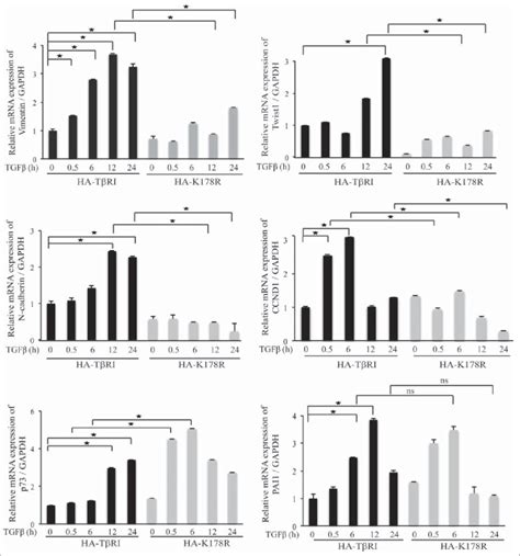 Tbri Ubiquitination Promotes The Expression Of Vimentin Twist