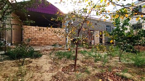 wexsi yawayiwli  sot torpaq  otaq menzil  kvm bagli baxcali