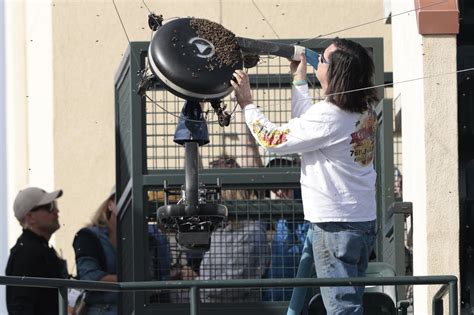 Lo Nunca Visto Las Abejas Detienen El Alcaraz Zverev Durante Dos