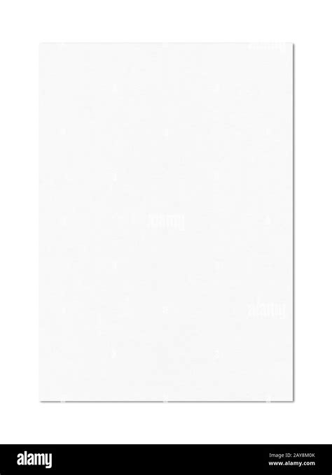 Blank Sheet Of White Paper