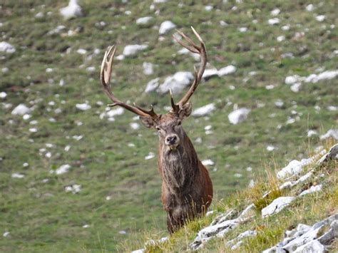 Pasquetta In Abruzzo Trekking E Bike Parco Maiella Pasqua