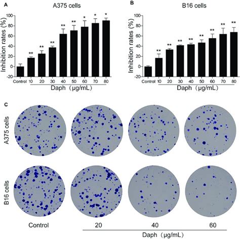 Daphnoretin Induces A375 And B16 Melanoma Cell Apoptosis A