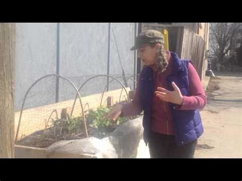 bufco indiegogo campaign youtube