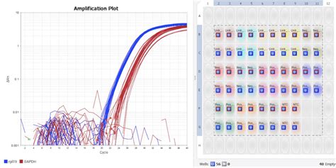 Examining Gene Expression With Rt Qpcr Visikol