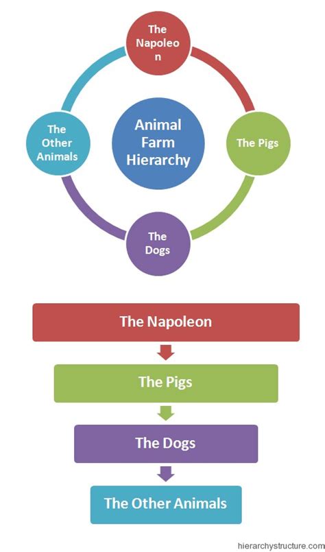 Animal Farm Hierarchy Farm Chart