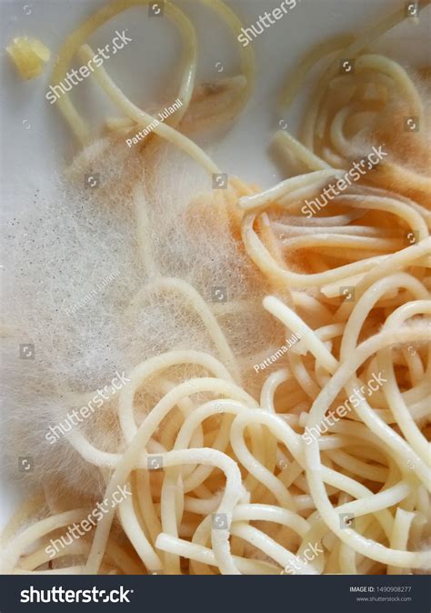 Mold On Spaghetti Moldy Food Stock Photo 1490908277 Shutterstock