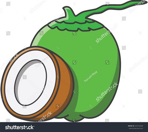 Coconut Vector Cartoon Illustration 스톡 벡터 로열티 프리 344163038 Shutterstock