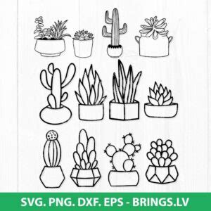 Cactus Svg Cactus Pots Svg Bundle Succulents Svg Potted Plants Svg