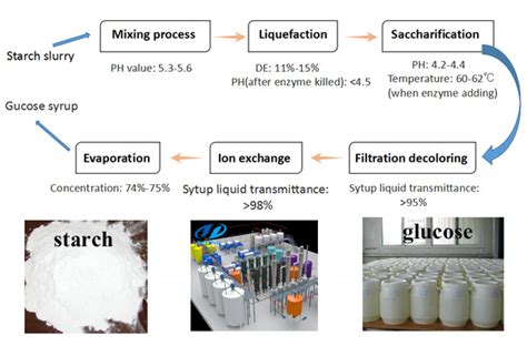 Whats The Production Of Glucose Syrup Using Enzyme Hydrolysis Methodfaq
