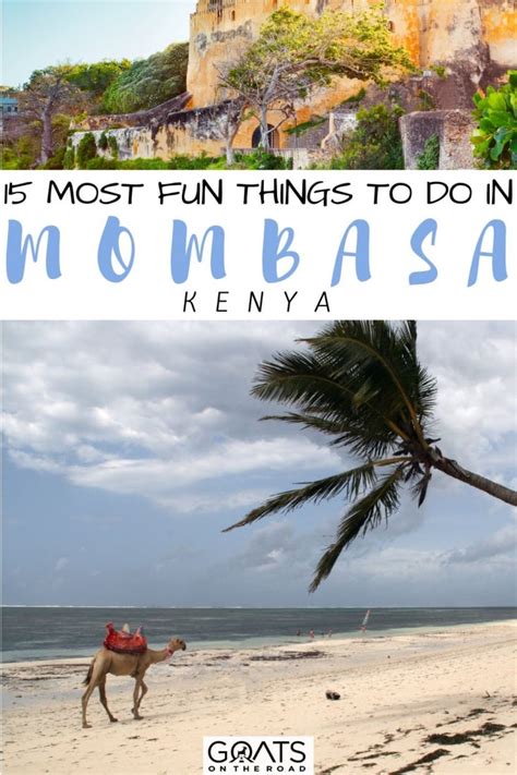 15 Best Things To Do In Mombasa Goats On The Road